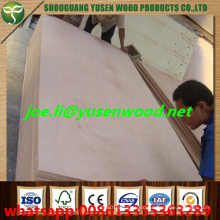 Poplar Core Packing Grade Plywood, Commercial Plywood
